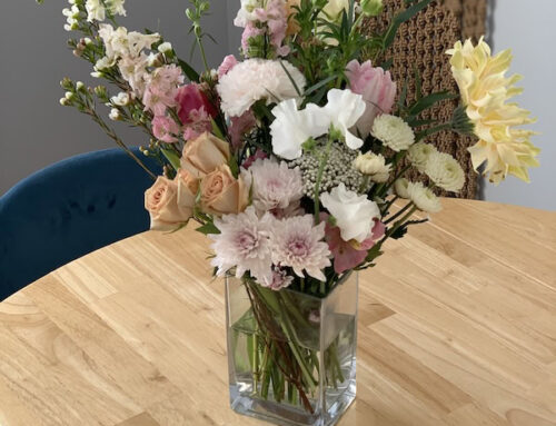 15 Romantic Ways To Celebrate Valentine’s Day In Grand Rapids